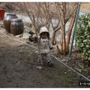 인태농장 이미지