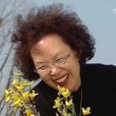 청운서림 이미지