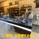 광주전자담배스칸센VAPE 이미지