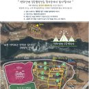 평화강변수목캠핑장 이미지
