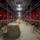 황산농협주유소 이미지