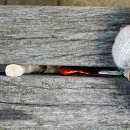 부산레포츠 이미지