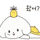 올바른참견 이미지