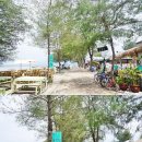 윤식당&윤카페 이미지