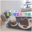 필로데오스 | 배곧 감성 카페 필로데오스 후기(사진 찍기 좋은 카페)