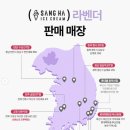 폴 바셋 강남역 삼성화재점