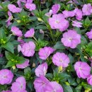 신불당공인중개사사무소 이미지