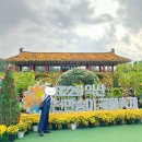 기타 조형물 | 익산 천만 송이 국화축제 2025년 정보 및 실시간 다녀온 후기