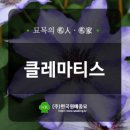 한국원예종묘 이미지