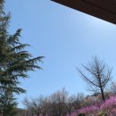 부천시 견인차량보관소 이미지