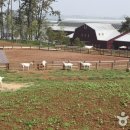 평화농원 이미지