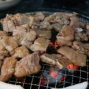 백년손님서서갈비무한리필 이미지