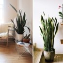 호야공인중개사사무소 이미지