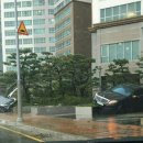 해운대물고기 이미지