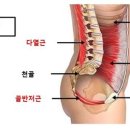 에스제이코어