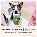 메디워크 | 산책만 나가면 쉬기 바쁘던 노령견을 위한 메디퍼피 강아지 관절 근육 영양제