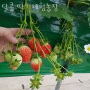 동탄지성로470번길 네이버블로그