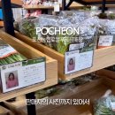 포천농협 로컬푸드직매장 이미지