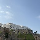 한식당토함 | [세계여행 D+41~45🇲🇦] 일주일로 부족했던 내사랑 탕헤르