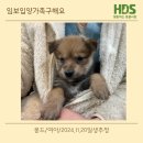 하우에버 포우에버 | 몽드 첫번째 교육일지