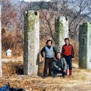 환성사 벚꽃의 미학 The Aesthetics of Hwansangsa Cherry Blossoms 이미지