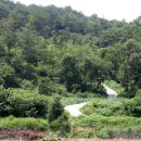 예천늘봄 이미지