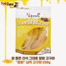 지에스펫 이미지