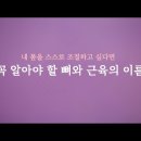 [마름모코어2] 내 몸을 스스로 조절하고 싶다면 기초적으로 알아야 할 뼈와 근육의 이름 이미지