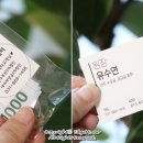 유수연미용실 이미지
