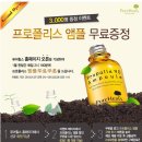 본사공식몰 이미지