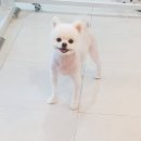 에덴미용타운 - 이천시 | 에덴미용타운