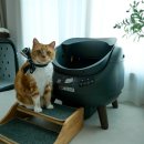 코오롱글로벌 | 신제품 고양이 자동화장실 코오롱글로벌 페테토 캣링크 OPEN X 사용 후기