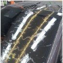 브리즈코리아 대구점 이미지