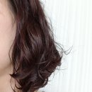 헤어닥터 이미지