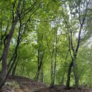 외국어로서의 한국어교육과정 및 교수요목설계 이미지