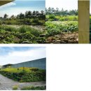 유민미술관 이미지