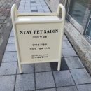 스테이 펫 살롱 이미지