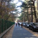 동해시-43 이미지