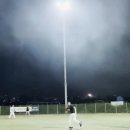 아라파크 이미지