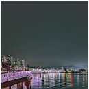 동동다리 이미지