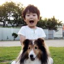 몬즈 이미지