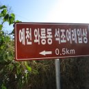 다보경로당 Daum카페