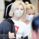 배이