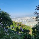 삼정약수터 이미지