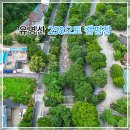 가평 유명산 258오토캠핑장 계곡 캠핑후기