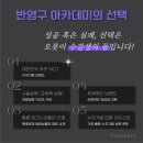 펄미에이트 이미지