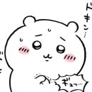 모범돼지