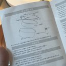 직장인도시락통 보온도시락 추천 바오니 가열 보온 도시락