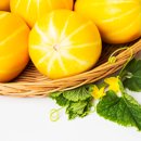 쿡앤푸드 이미지