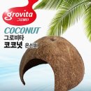 로얄수족관 이미지